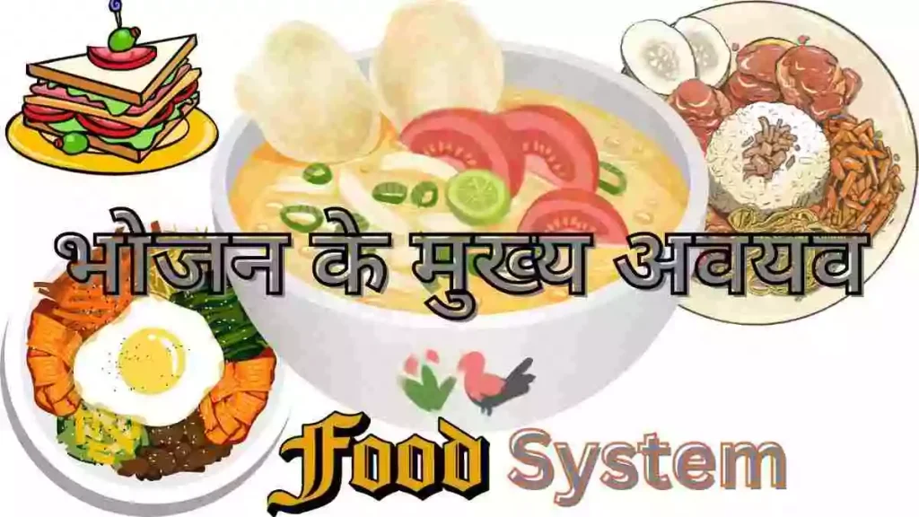 Components Of Food In Hindi