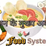 Components Of Food In Hindi