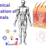 Chemical Coordination of Animals